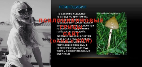 прущие грибы Абдулино