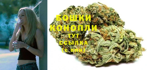 прущие грибы Абдулино
