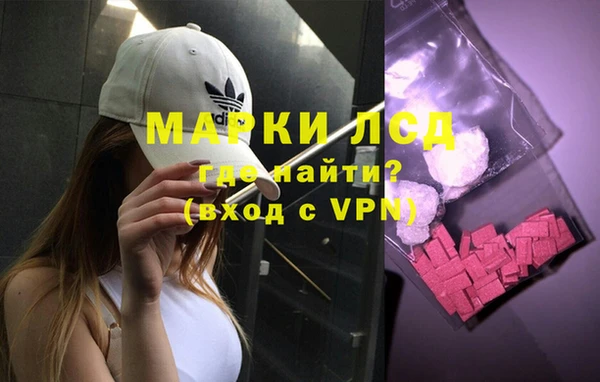 прущие грибы Абдулино