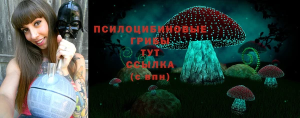 2c-b Абаза