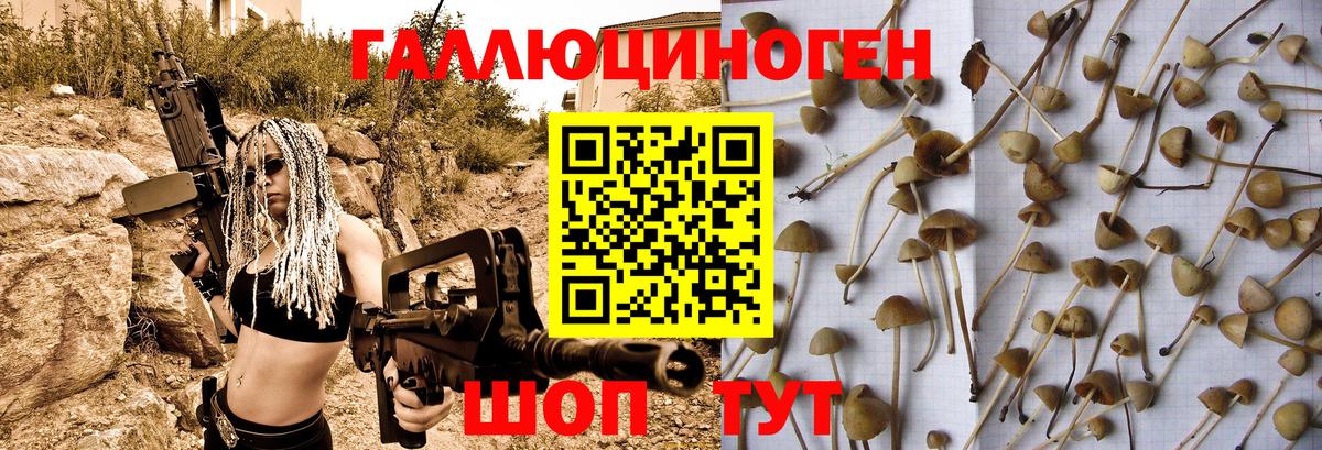 дарнет шоп  Дербент  Галлюциногенные грибы прущие грибы 