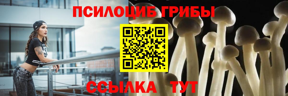 Псилоцибиновые грибы MAGIC MUSHROOMS Дербент