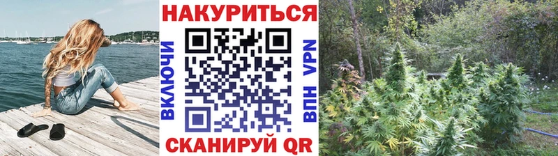 Шишки марихуана Bruce Banner Дербент